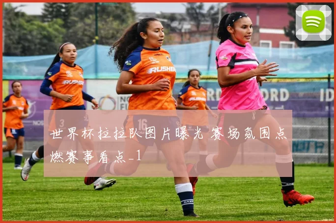 世界杯拉拉队图片曝光 赛场氛围点燃赛事看点_1