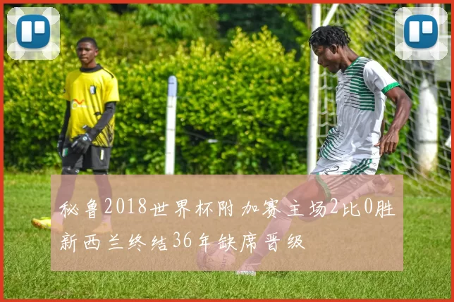 秘鲁2018世界杯附加赛主场2比0胜新西兰终结36年缺席晋级