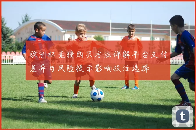 欧洲杯竞猜购买方法详解平台支付差异与风险提示影响投注选择